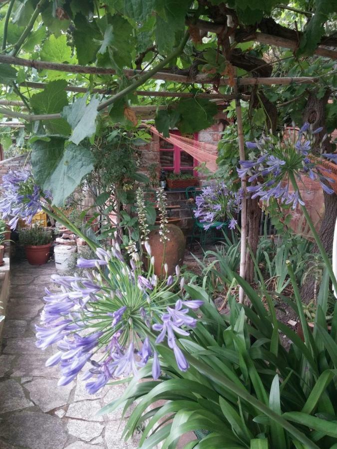 Sotto Il Castello Bed & Breakfast Trebiano Luaran gambar